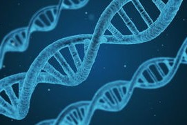 开云体育官网下载-国足锋线技术动作分布结构研究，足球 锋线