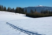 kaiyun开云体育-世界青少年雪地徒步挑战赛在东北热情开跑，雪地徒步穿越