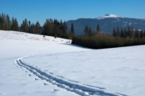 kaiyun开云体育-世界青少年雪地徒步挑战赛在东北热情开跑,雪地徒步穿越