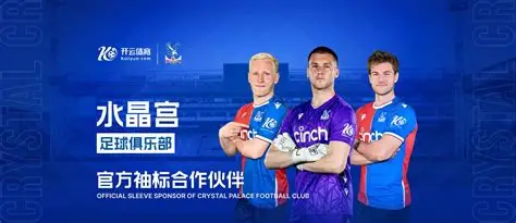 开云（中国）kaiyun·官方网站-网页版登录入口 
