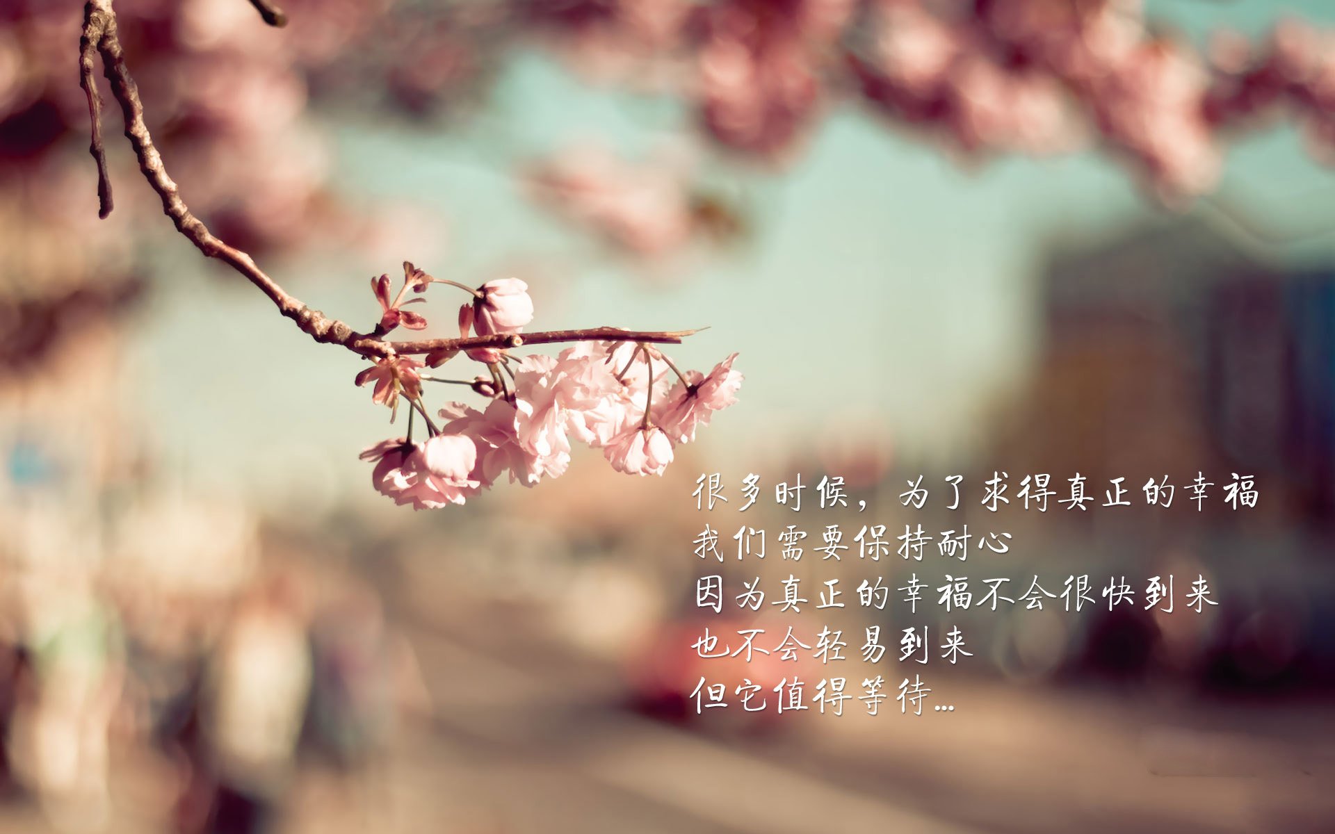 CBA联盟将举办球员发展计划论坛提升职业素养，cba发展联盟球员工资