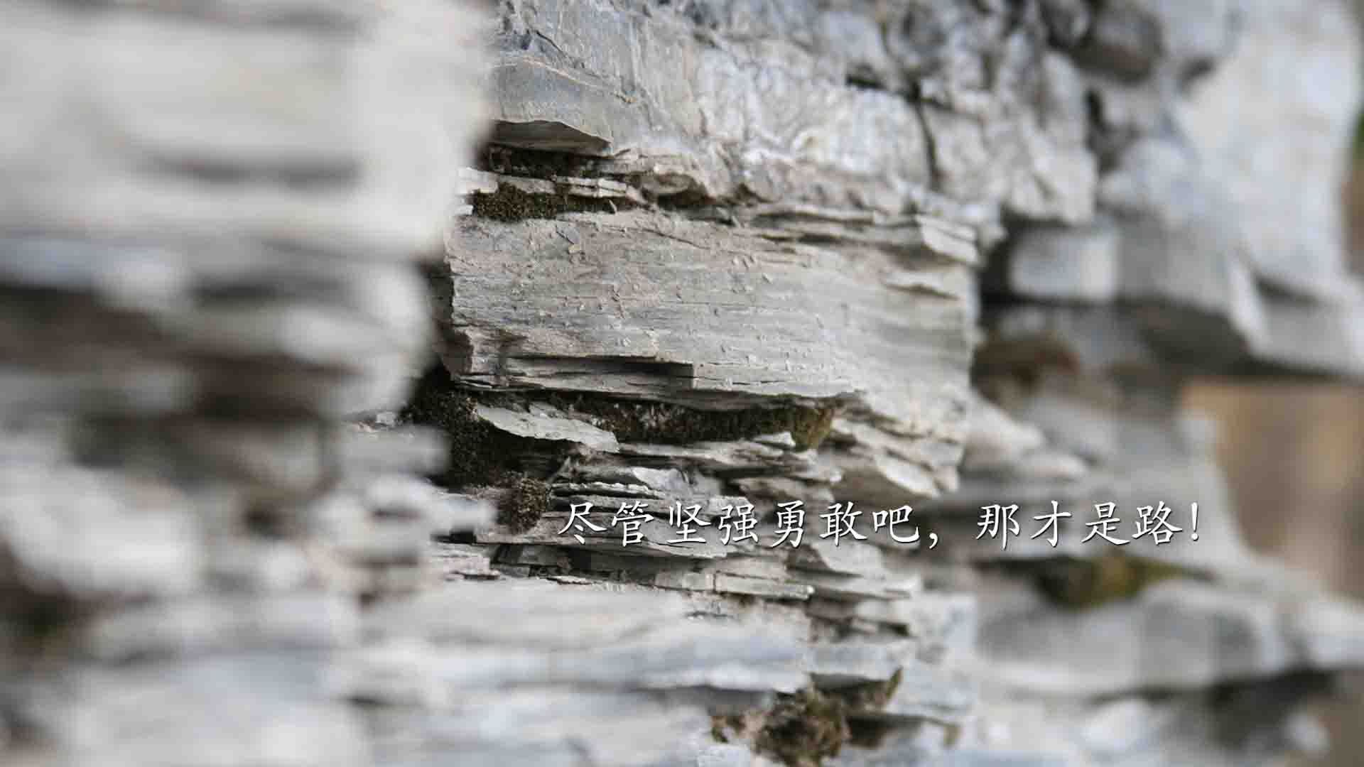 半场逆转科威特胜利提振球员士气，科威特近况