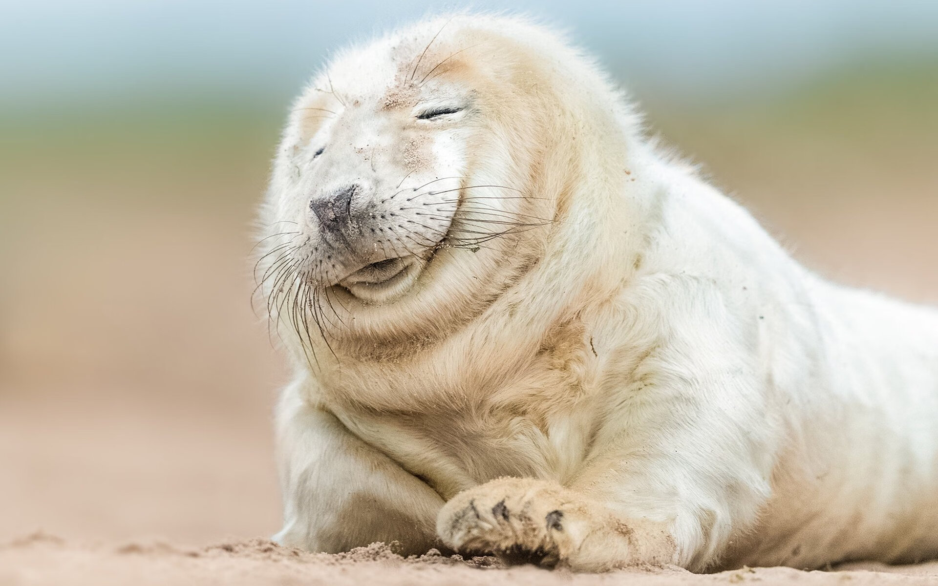 世界杯关键战：瞬间决定晋级命运的争夺，世界杯关机