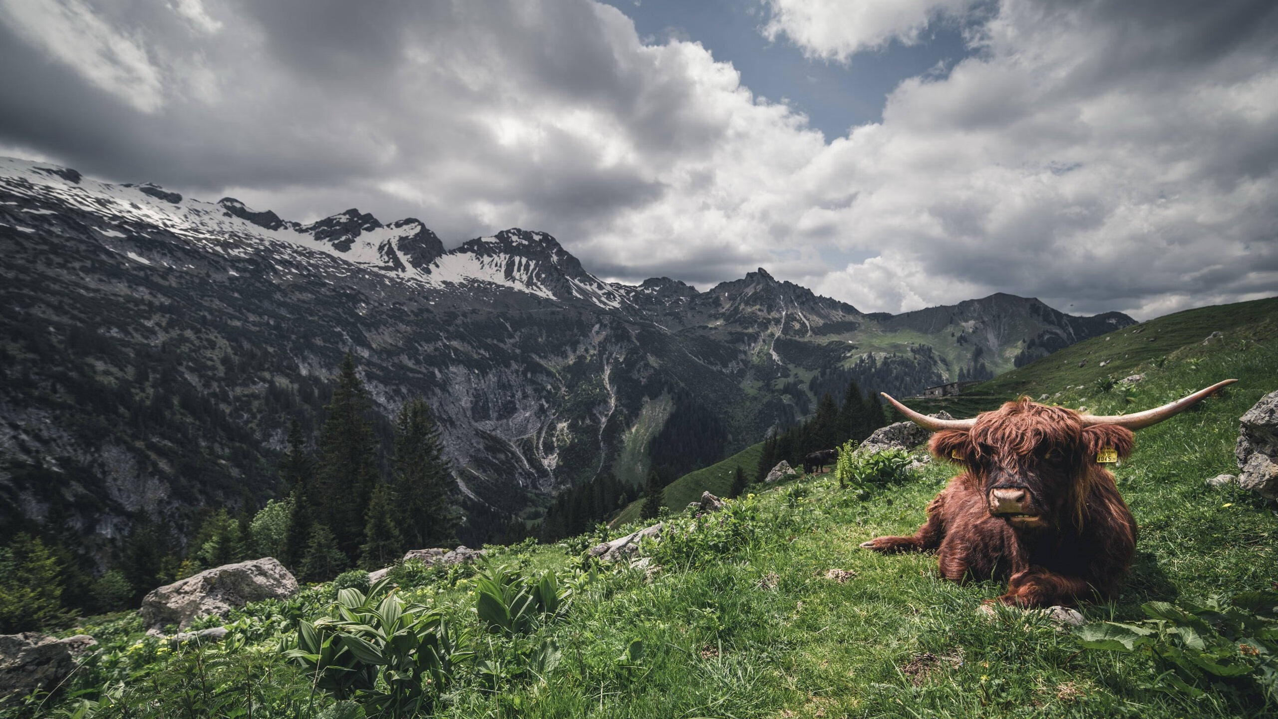世界杯关键战：瞬间决定晋级命运的争夺，世界杯关机