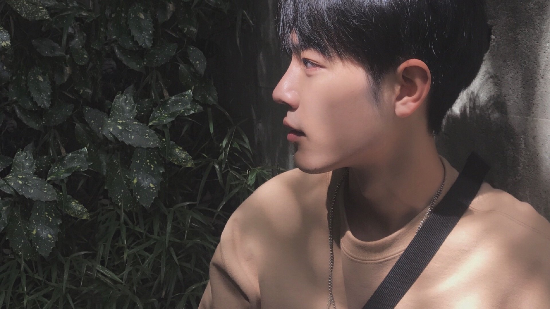 比利时蝶泳选手节奏控制精准，蝶泳的比例